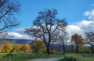 Le 30 octobre 2025 : Descente au Séran 1 