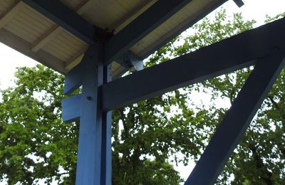 EB - Les oiseaux de mon jardin : les tourterelles...