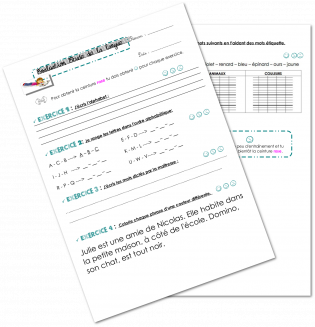 Evaluation des ceintures en EDL