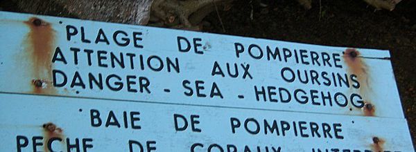 AUJOURD'HUI
