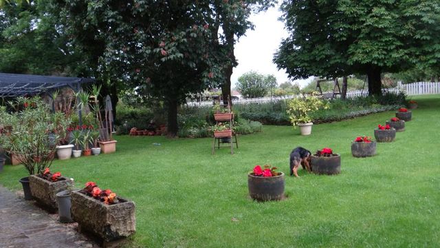 Juin est le Plus Parfait ...