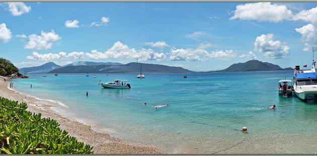 Avant d'aller faire une seconde balade, cette fois-ci dans la forêt, dégustation d'une bière bien fraîche devant la belle plage de Fitzroy Island - Australie