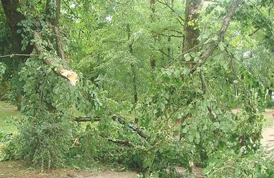 la tempête du 2 Juillet...