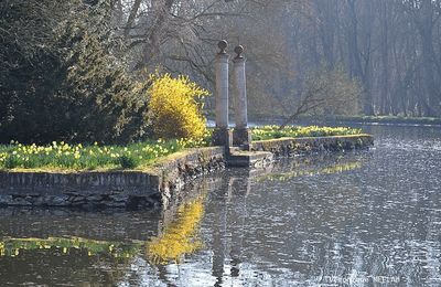 Rambouillet : Dès que le printemps revient (1)