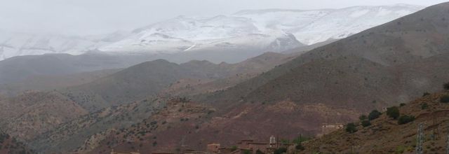 Bou Tharar - Tabant (2)
