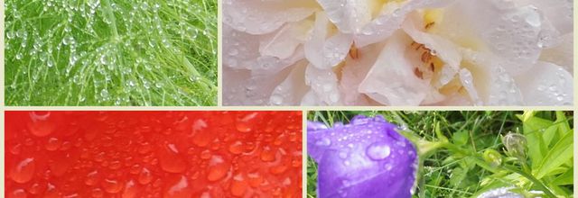 Pluie, pluie, pluie...