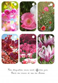 Cartonnettes fleurs à imprimer