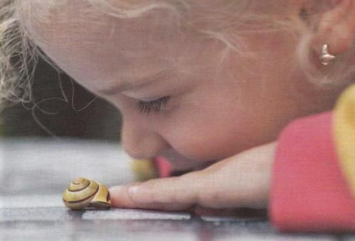 Un enfant ne s'ennuie jamais, sauf si nous lui inculquons cette habitude.