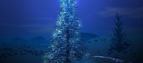 Sapin de Noël*