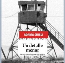 UN DETALLE MENOR leer epub gratis