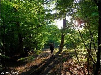 (J51) Roncesvalles /Orisson 25 mai 2012