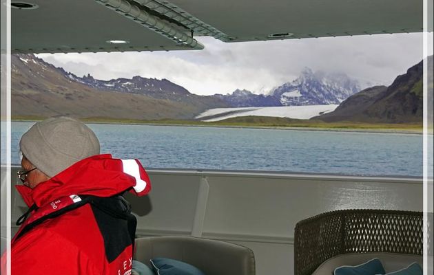 Dernières images en faisant la queue pour débarquer (10 par Zodiac), en particulier sur la pêche des Manchots royaux - Whistle Cove - Fortuna Bay - Géorgie du Sud