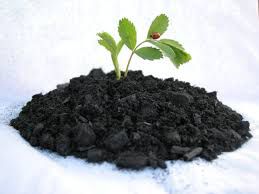 Savez vous ce qu'est le "biochar"