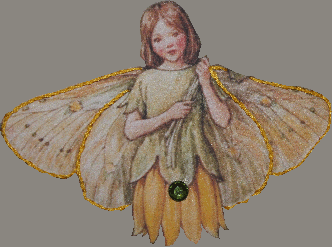 Carte postale"The Celandine fairy"