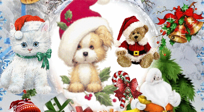 NOEL ARRIVE A GRAND PAS