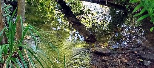 mes photos plaisirs ... 