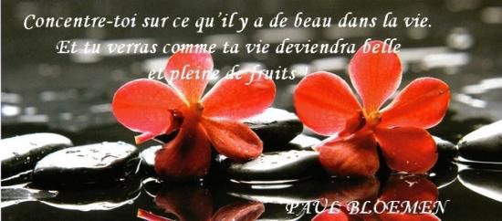 Citations en images : ce qu'il y a de beau dans la vie....