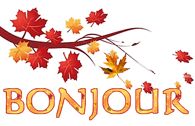 Cartonnettes du Samedi ... 2025 !