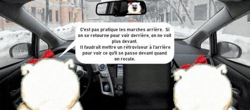 Les aventures des banquisards : spéciale auto-école 