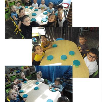 Oh les jolies tortues !!!