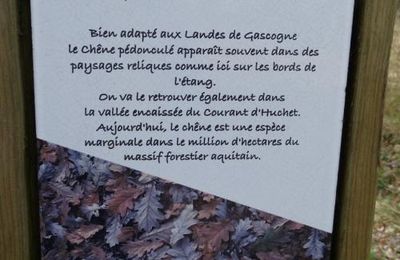 Les kaléïdoscopes du lac de Léon (3/3)...