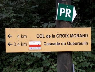 Petite rando en forêt...