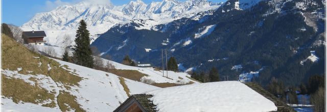 LES TOITS DE NEIGE 2025