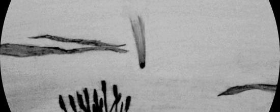 Dessin de la comète PanStarrs.