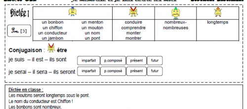 Dictées CE2, pour l'enseignant