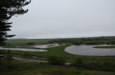 PARC DU MARQUENTERRE (Somme - 80)