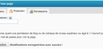 13 - Protection du blog