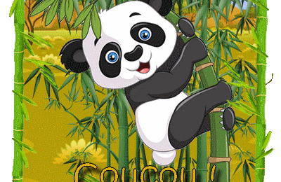 Abécédaire Panda !  + cartonnettes 2025