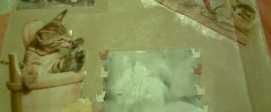 Mailart