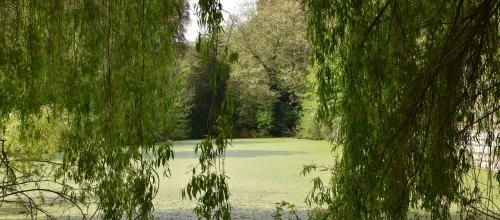 nuances de verts 