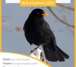 Journées nationales de comptage des oiseaux 