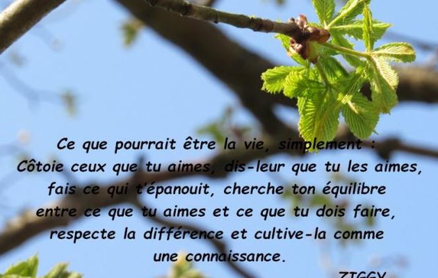 La vie simple....