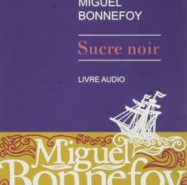 Sucre noir de Miguel Bonnefroy 