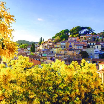 BORMES LES MIMOSAS : dimanche 23 février 