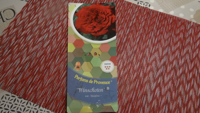 Parfum de Provence Rosier 'Winschoten'