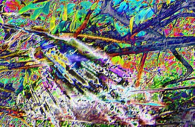 La couleur de la vérité