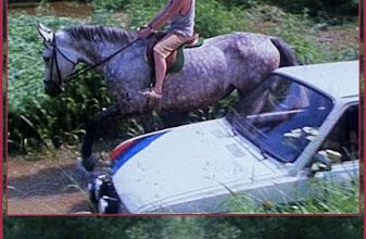  Devadesát jedna bílých koní. 1986. FULL-HD.