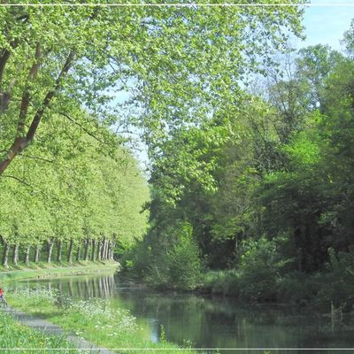 Printemps le long du canal latéral à la Garonne - Avril 2017 - 8/10