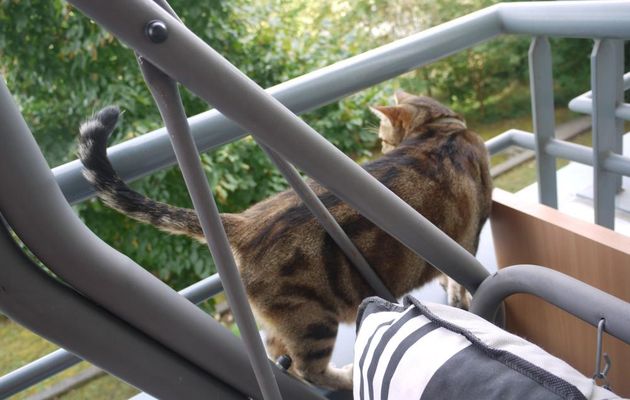 JE NE SUIS PAS CONTENT - MAIS JE ME SOIGNE