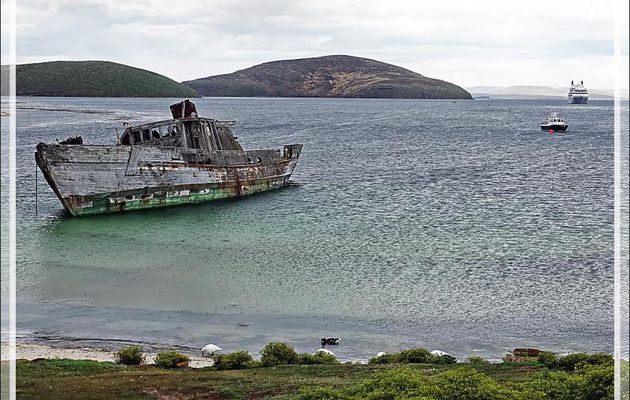 Dernier regard sur l'épave du Protector lll, triste vestige d'un passé meurtrier pour les mammifères marins - South Harbour - New Island - Falkland (Malvinas, Malouines) - Grande-Bretagne