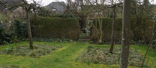 le jardin privé de Didier Willery