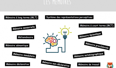 Les mémoires