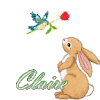 746 - Lapin et oiseau -