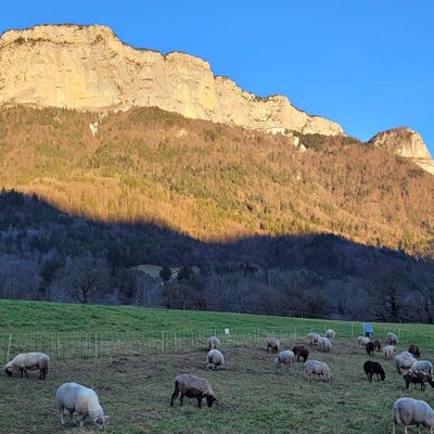 CR de la rando de mardi 9 décembre 2025: la plaine d'Alex