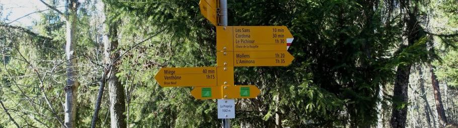 Au-dessus de Sierre #2 Le Bisse de Varen