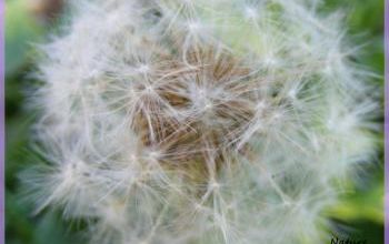 Retour du beau temps ?